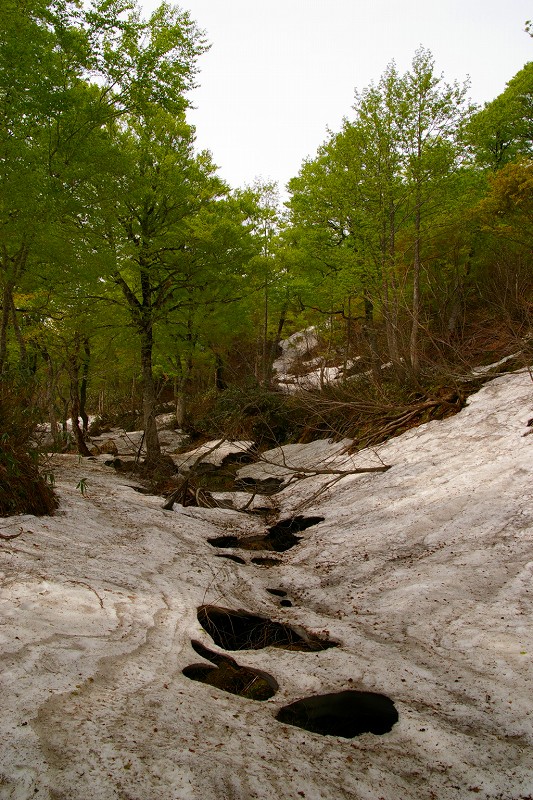 b0050305_95228.jpg