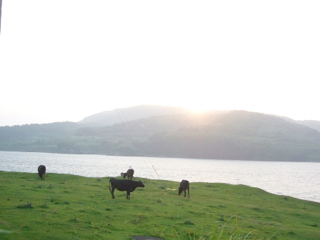 c0092408_18473115.jpg