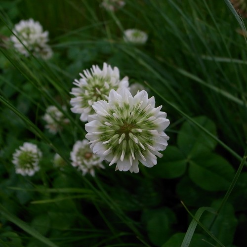 e0145711_02950.jpg