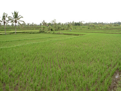 b0166312_1823658.jpg