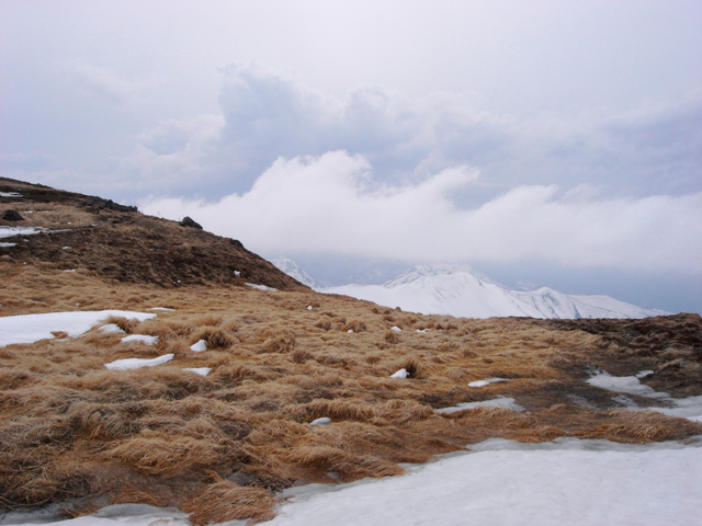 c0110112_0133338.jpg