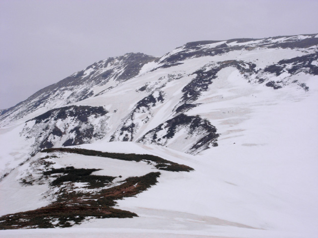 c0110112_014723.jpg