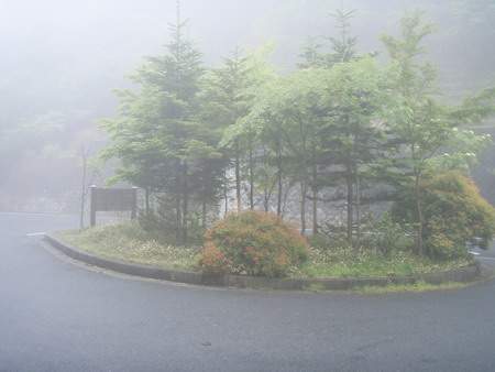 a0091314_1015107.jpg