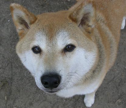 c0181414_13173042.jpg