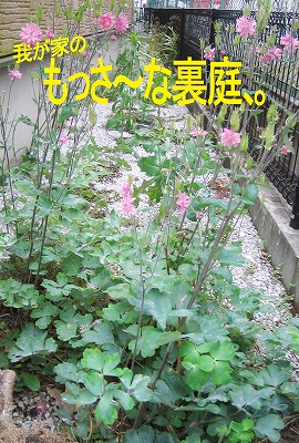 b0181615_145327.jpg