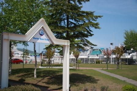 e0113915_8451271.jpg