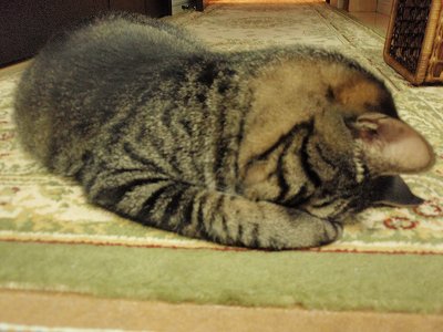 c0145016_1164665.jpg