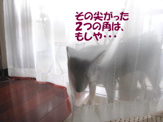 c0185516_22303467.jpg