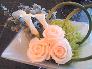 a0052621_975927.jpg