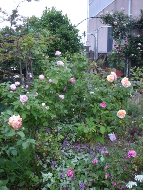 f0054421_732257.jpg