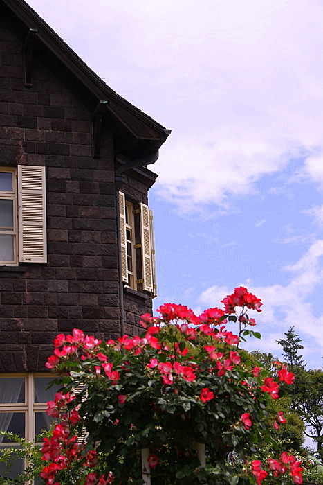 b0165522_21562941.jpg