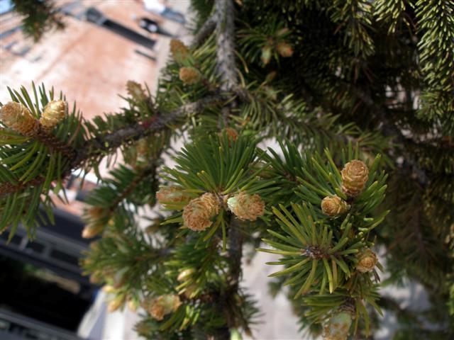 b0171523_0301515.jpg