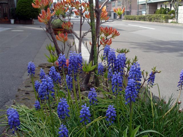b0171523_115195.jpg
