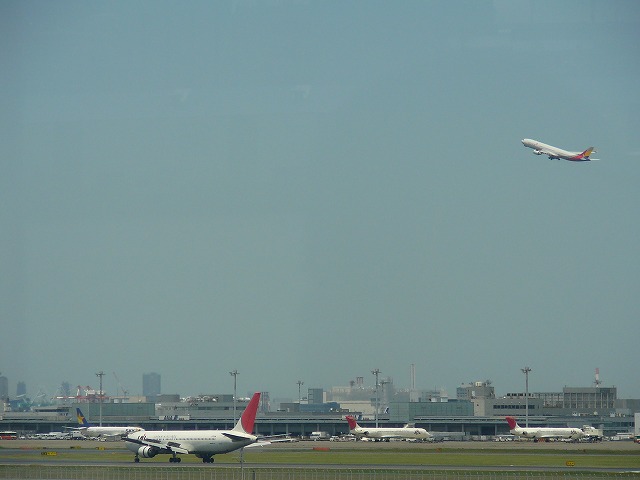 b0009029_06959.jpg