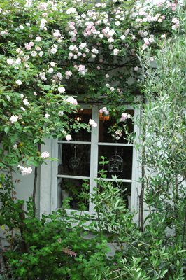 f0029536_8535485.jpg
