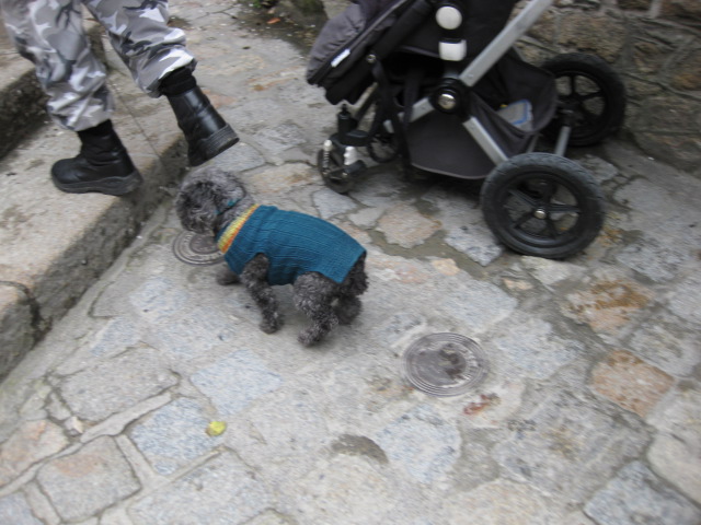 c0117239_1432856.jpg