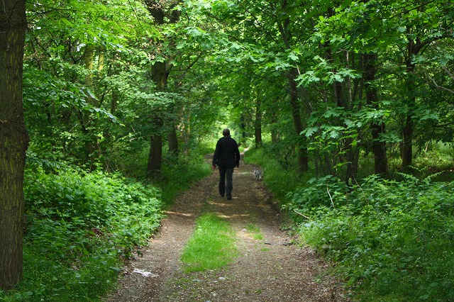 c0153740_1211513.jpg