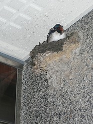 f0169942_2259114.jpg