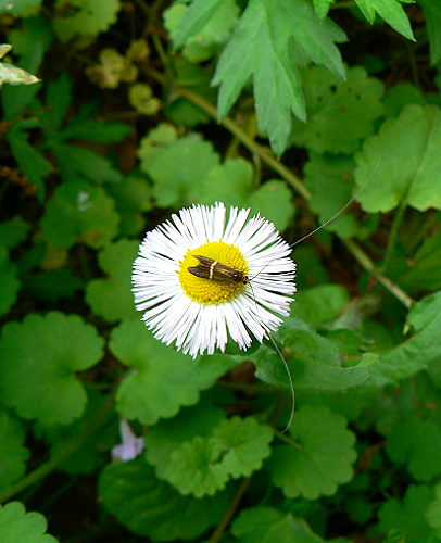 d0091754_1274936.jpg