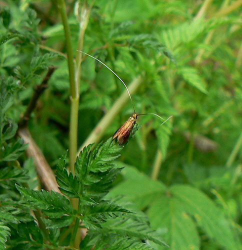 d0091754_9101078.jpg