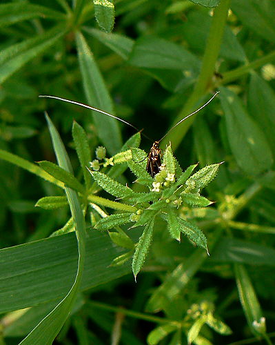 d0091754_9103645.jpg
