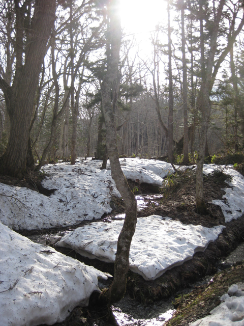 f0183656_11381869.jpg