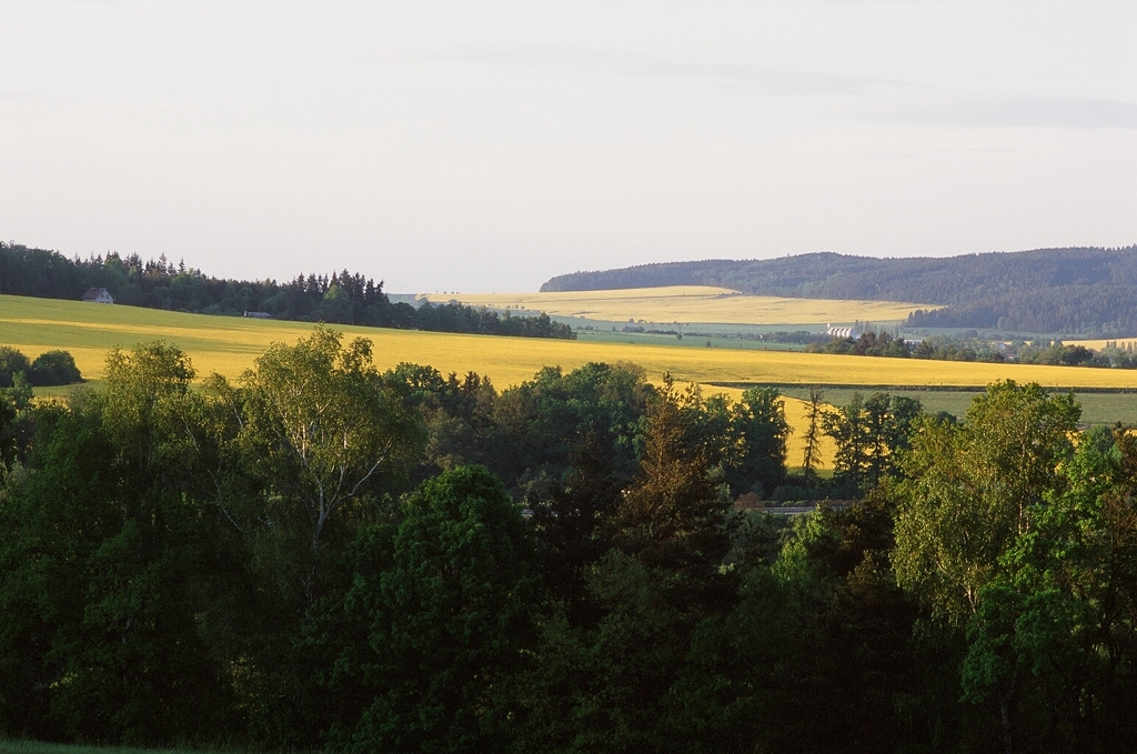 e0134658_2122396.jpg