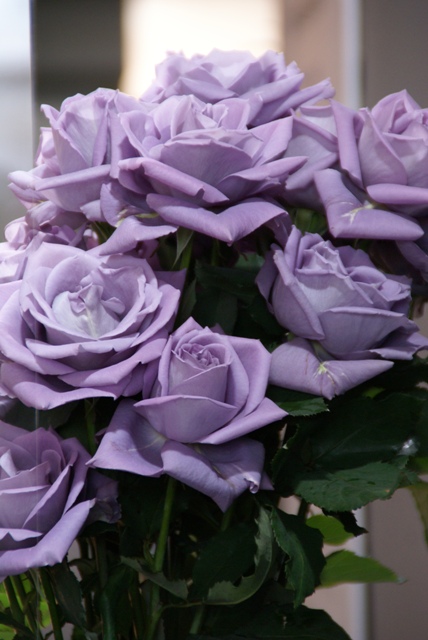 a0091666_082850.jpg