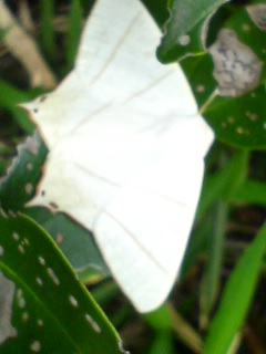 b0178466_2236439.jpg