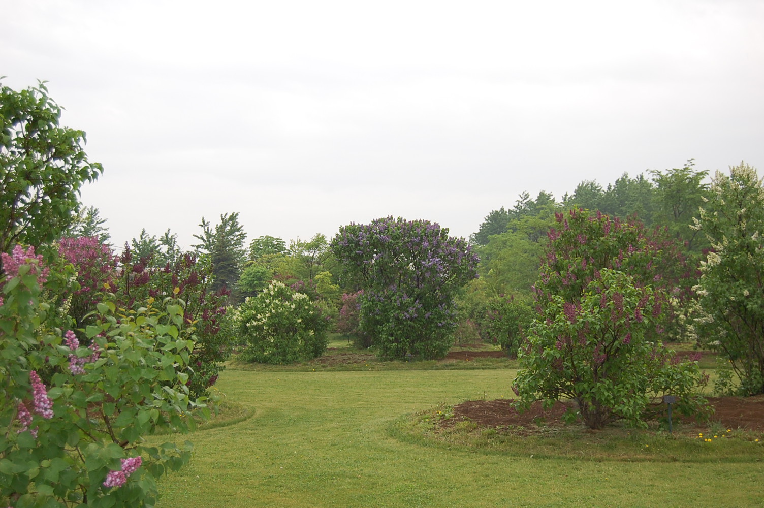 e0120466_20391676.jpg