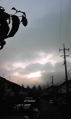 e0143667_11194647.jpg
