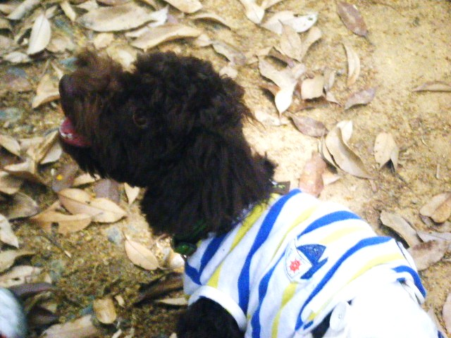 f0207970_89517.jpg