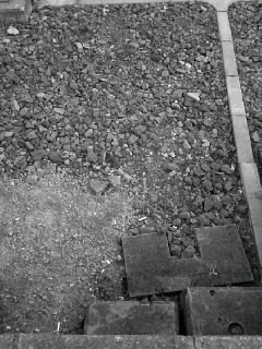 f0100480_2257203.jpg