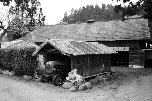 c0195281_20365637.jpg