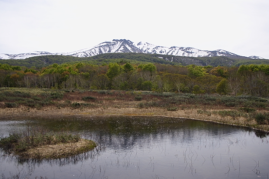 e0165983_12133619.jpg