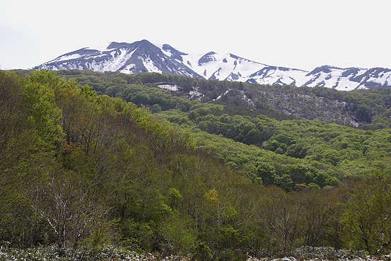 e0165983_1213880.jpg