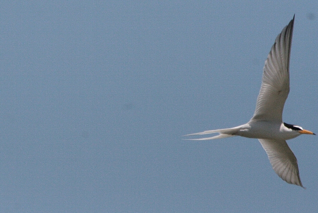 d0133693_21522528.jpg