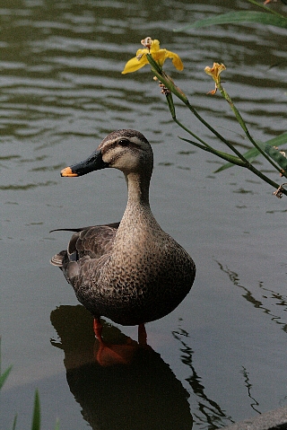 d0133693_21525652.jpg