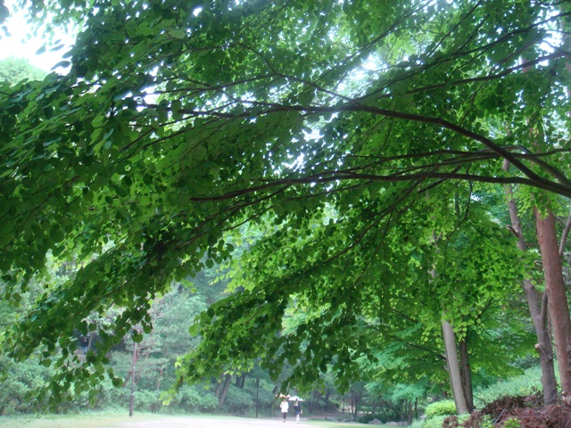 e0111793_15372445.jpg