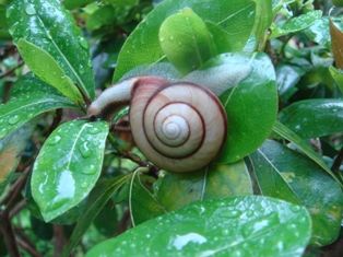 e0111793_1552683.jpg