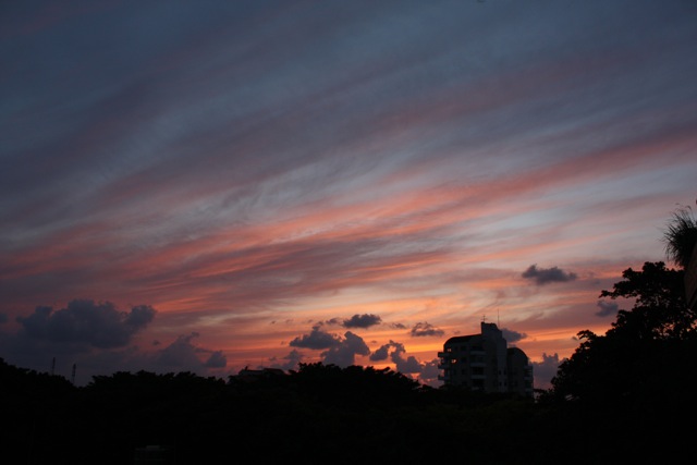 c0193396_1713818.jpg