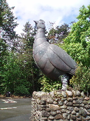 c0114797_1365751.jpg