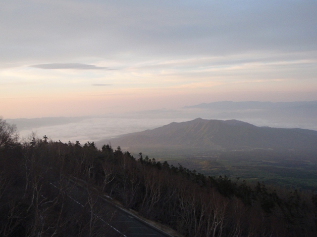 c0147398_1345642.jpg