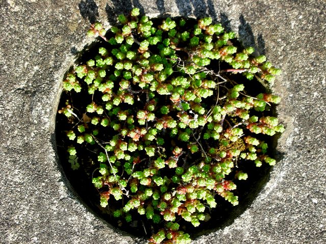 f0083400_2113228.jpg