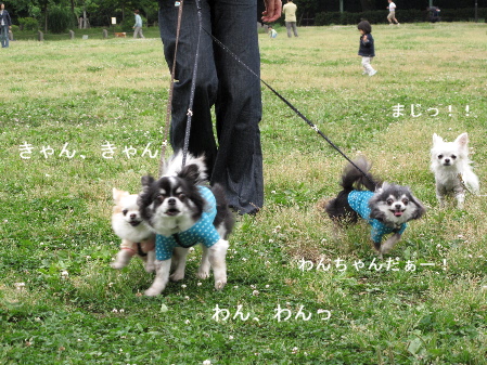 a0079803_1362037.jpg