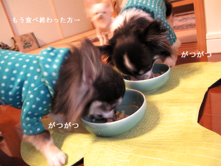 a0079803_1505230.jpg