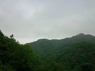 c0126205_742482.jpg