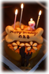 a0007906_9533793.jpg