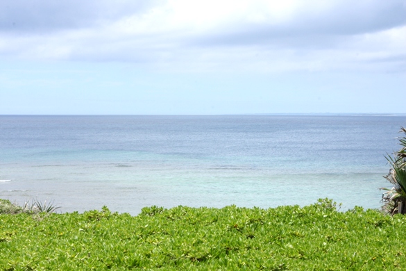 f0176108_16101455.jpg