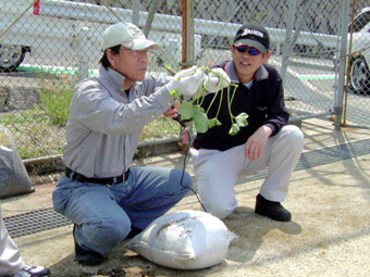 e0177509_23252578.jpg